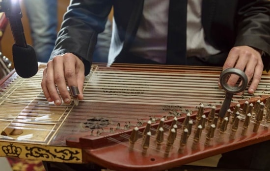 Ethnomusicologist performing on stringed instrument
