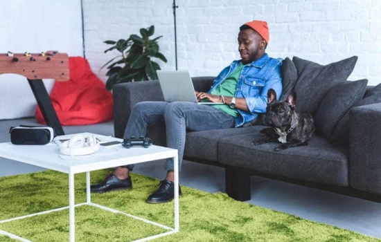Music web designer on his laptop with a dog