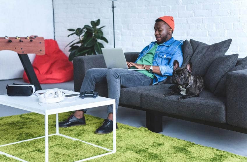 Music web designer on his laptop with a dog